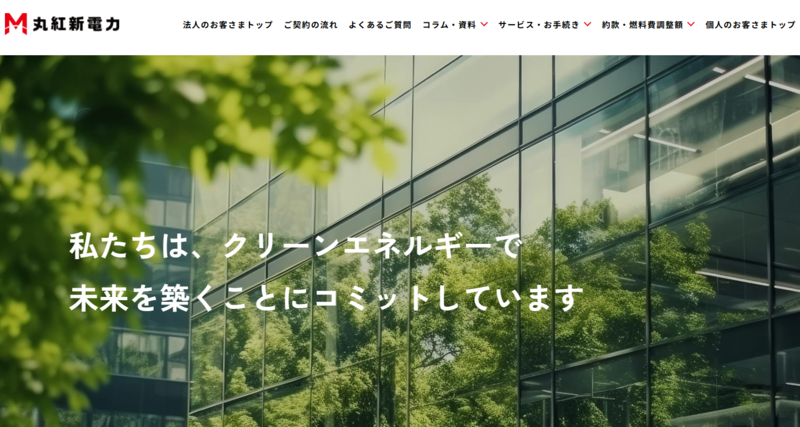 丸紅新電力