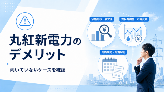 丸紅新電力、向いていないケース
