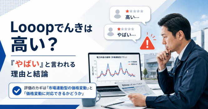 ループでんきは本当に高い?