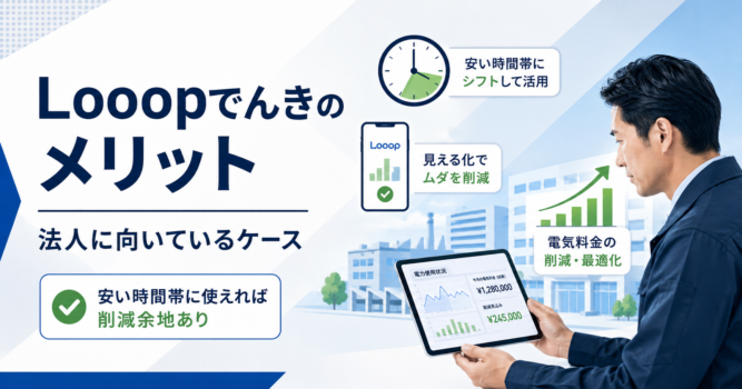 ループでんきのメリット